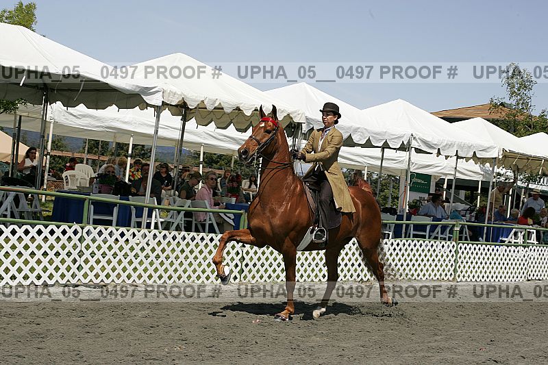 Proof Number upha_05__0497