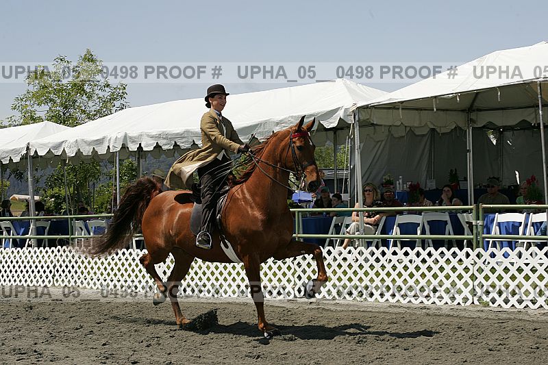 Proof Number upha_05__0498