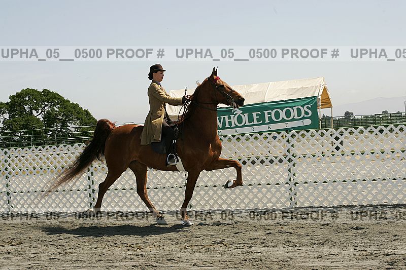 Proof Number upha_05__0500