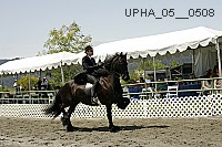 Proof Number upha_05__0508
