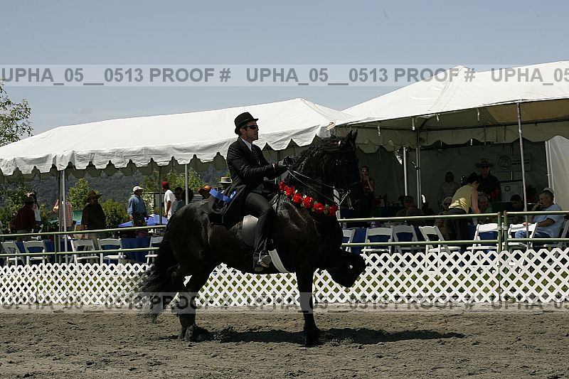 Proof Number upha_05__0513