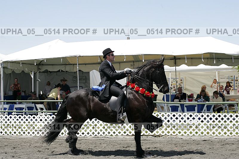 Proof Number upha_05__0514