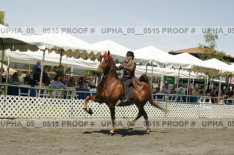 Proof Number upha_05__0515