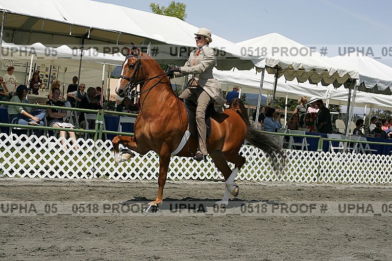 Proof Number upha_05__0518