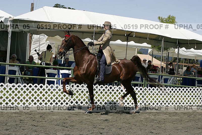 Proof Number upha_05__0519