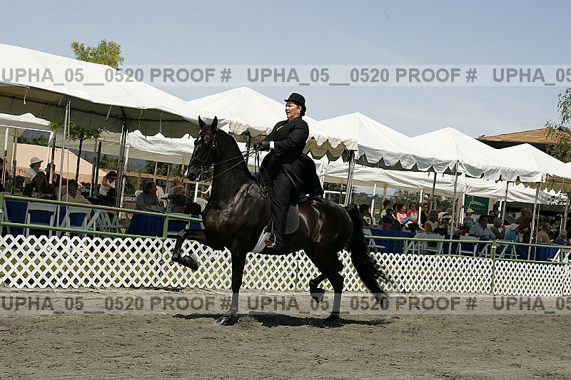 Proof Number upha_05__0520