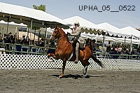 Proof Number upha_05__0522