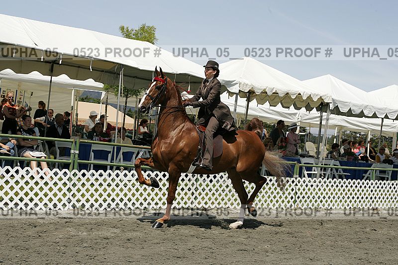 Proof Number upha_05__0523