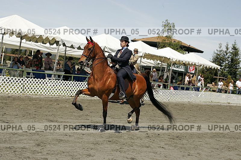Proof Number upha_05__0524