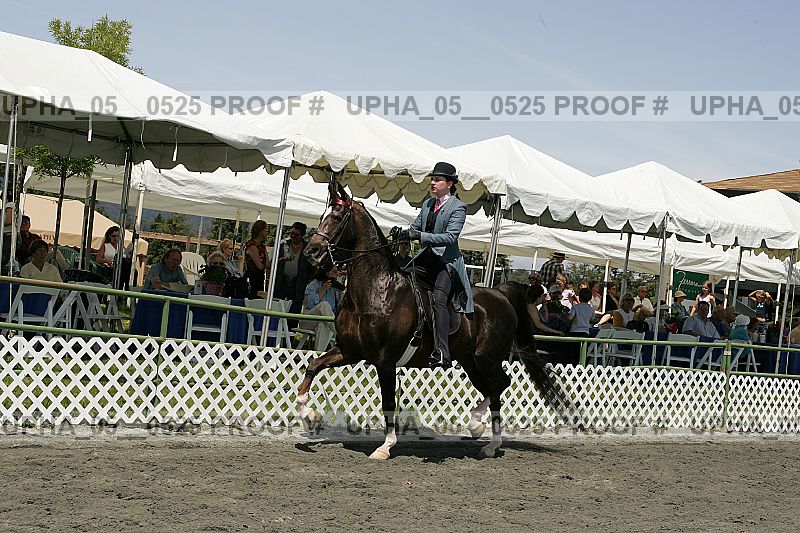 Proof Number upha_05__0525