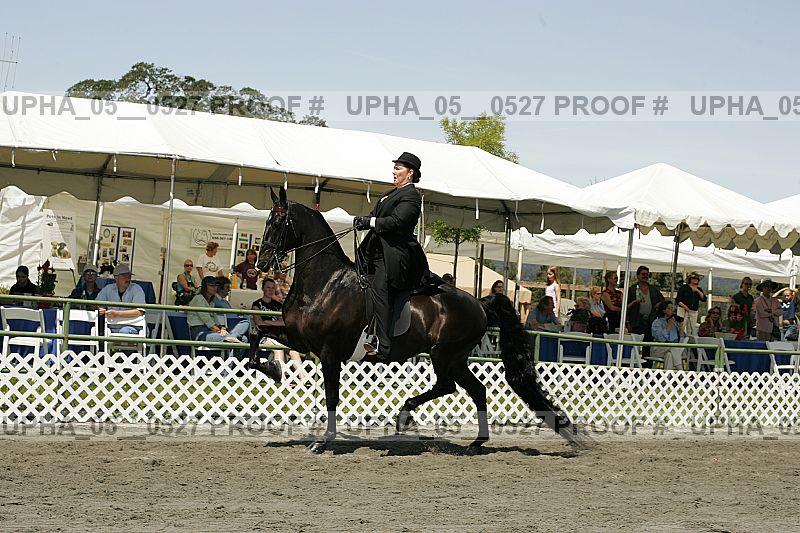 Proof Number upha_05__0527