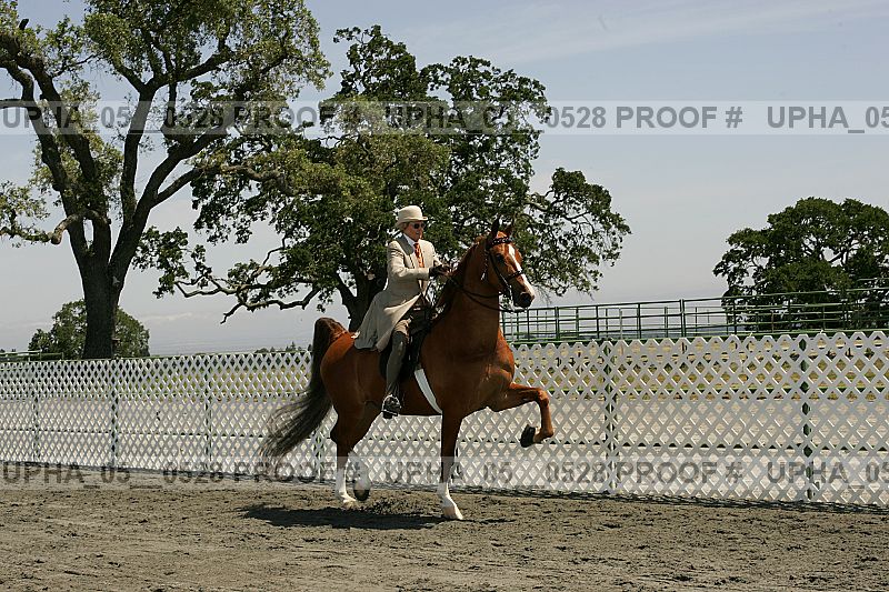 Proof Number upha_05__0528