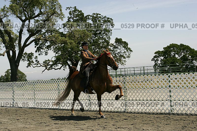 Proof Number upha_05__0529