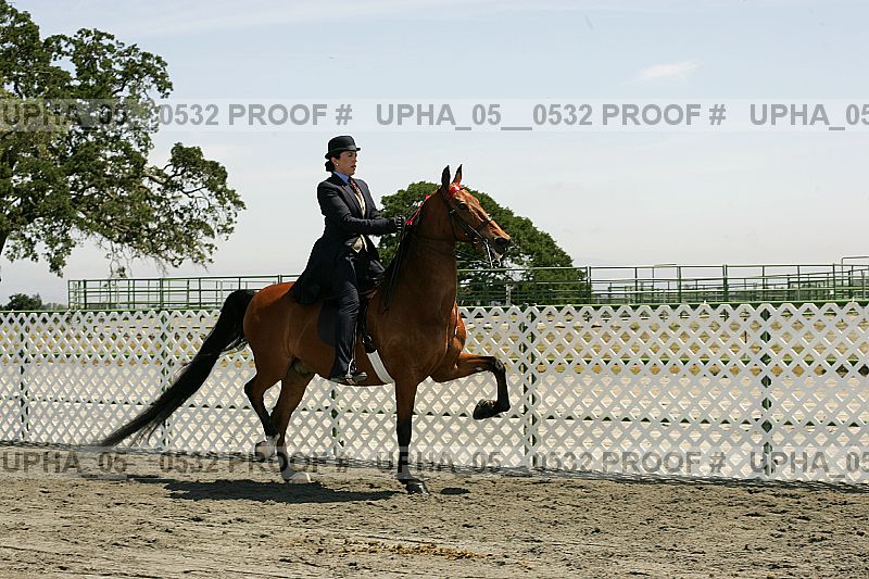 Proof Number upha_05__0532