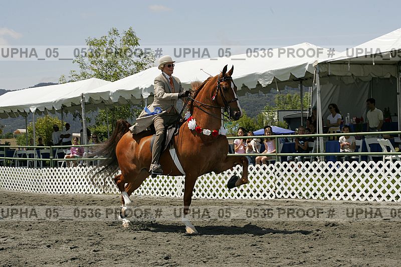 Proof Number upha_05__0536