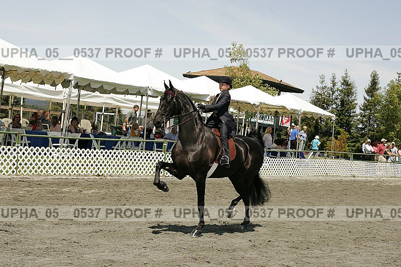 Proof Number upha_05__0537