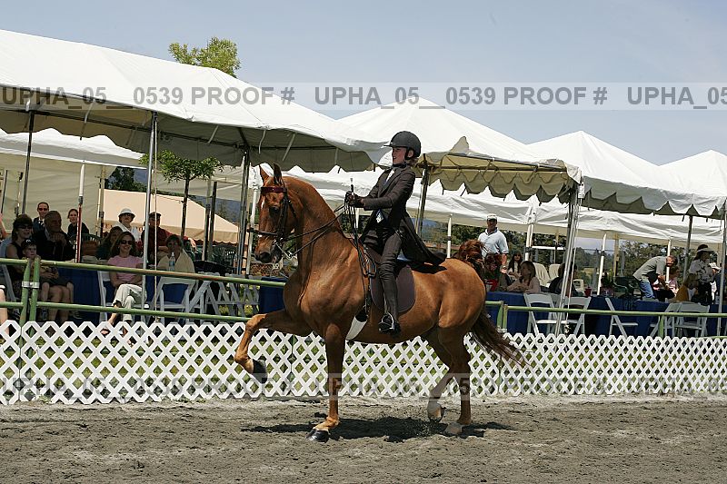 Proof Number upha_05__0539