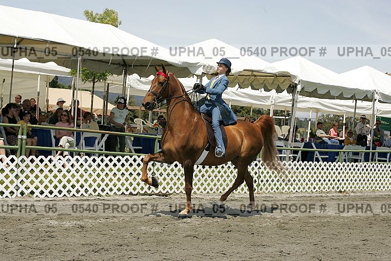 Proof Number upha_05__0540