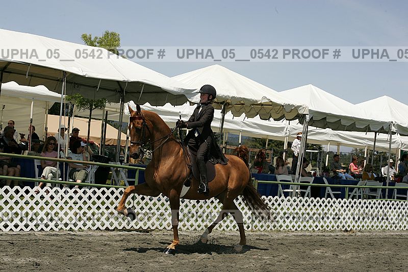 Proof Number upha_05__0542