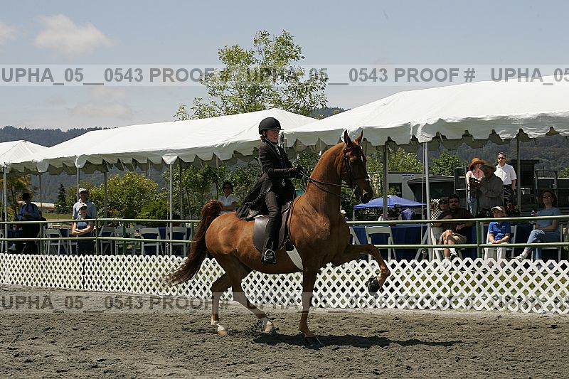 Proof Number upha_05__0543