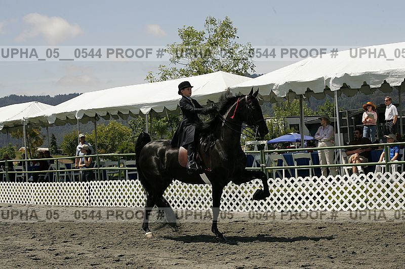 Proof Number upha_05__0544