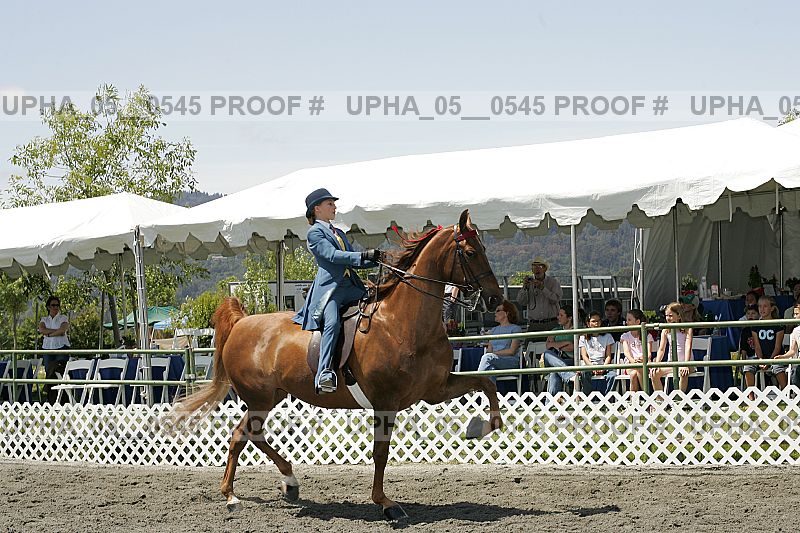 Proof Number upha_05__0545