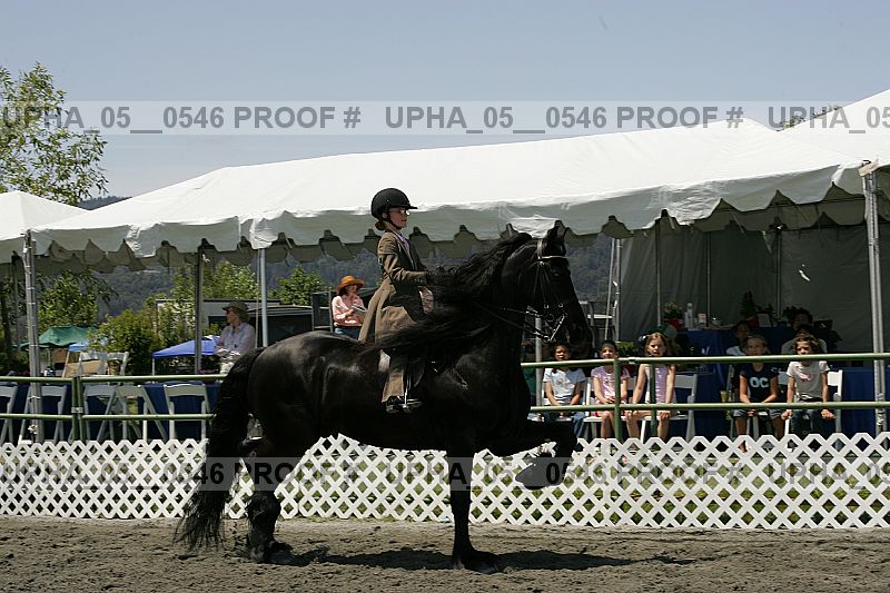 Proof Number upha_05__0546