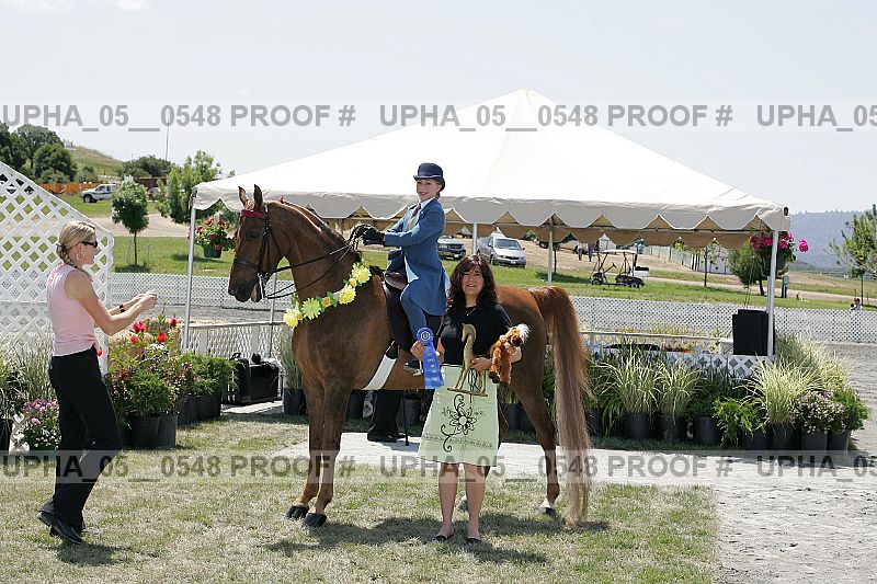 Proof Number upha_05__0548