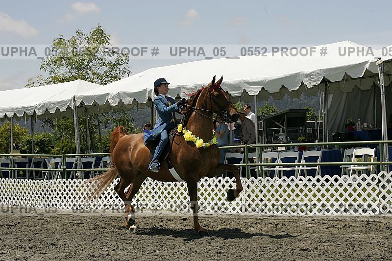 Proof Number upha_05__0552