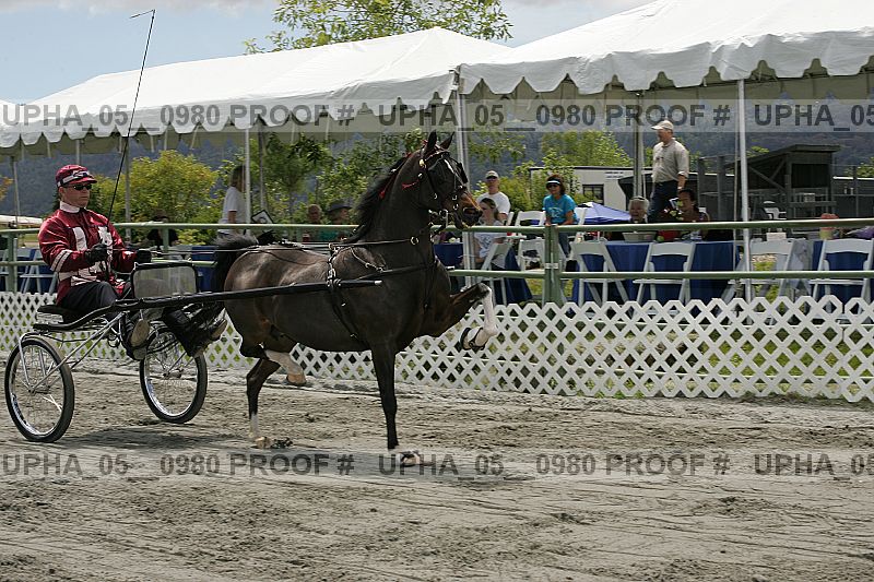 Proof Number upha_05__0980