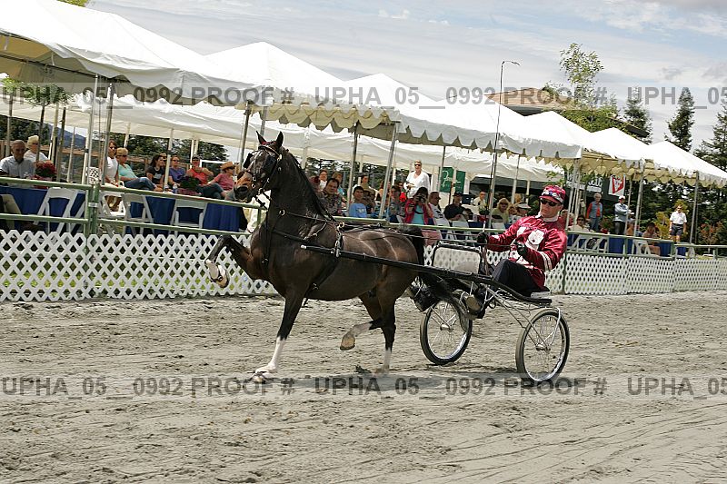 Proof Number upha_05__0992