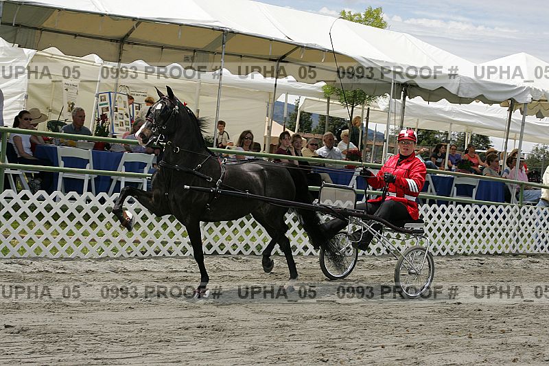 Proof Number upha_05__0993