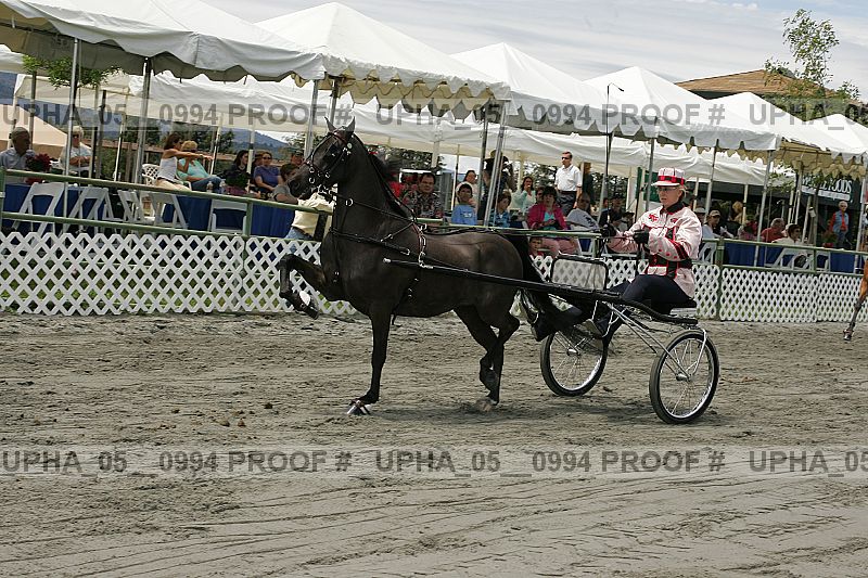Proof Number upha_05__0994