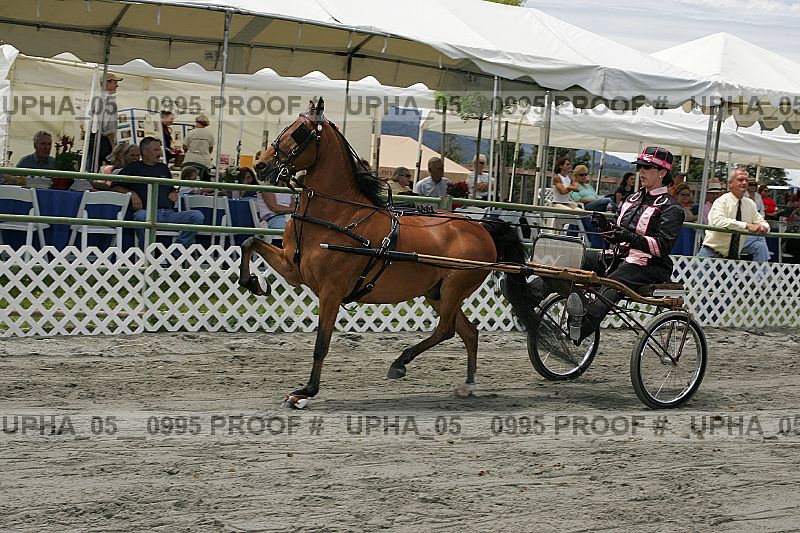 Proof Number upha_05__0995