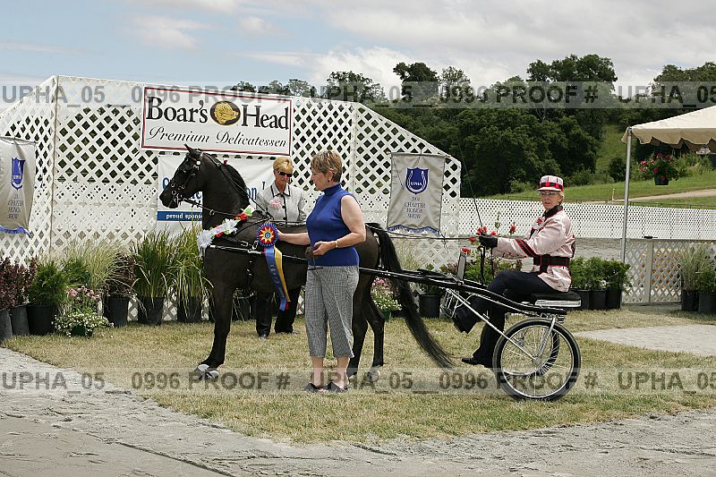 Proof Number upha_05__0996