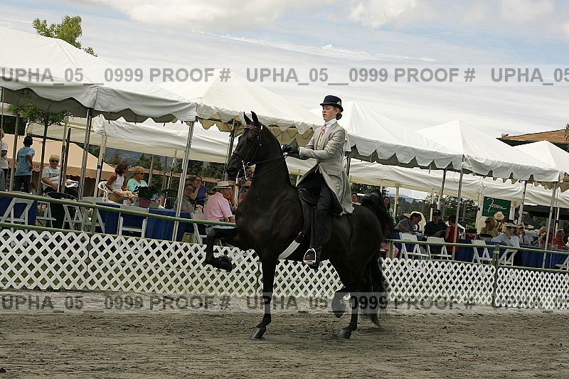 Proof Number upha_05__0999