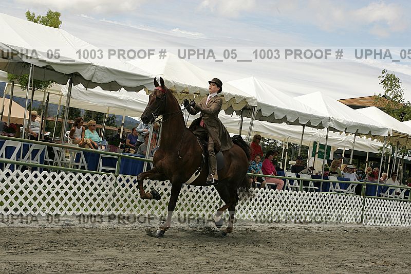 Proof Number upha_05__1003
