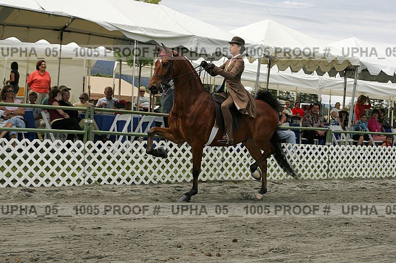 Proof Number upha_05__1005