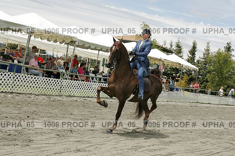 Proof Number upha_05__1006