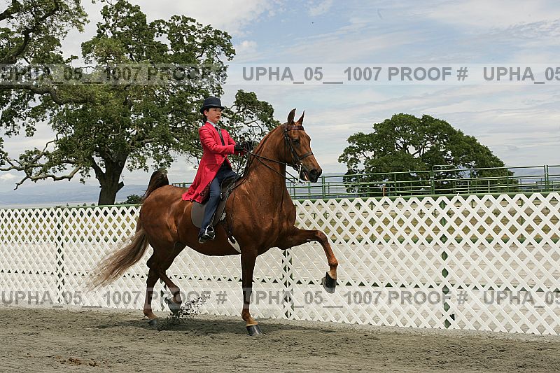 Proof Number upha_05__1007