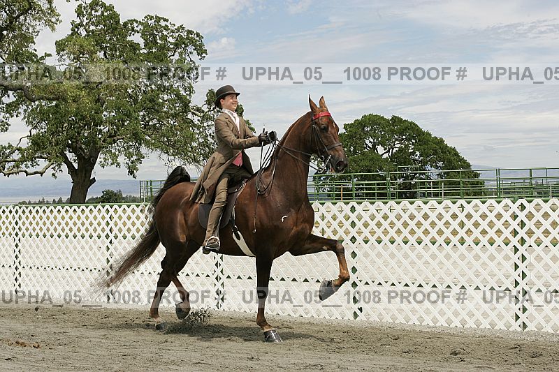 Proof Number upha_05__1008