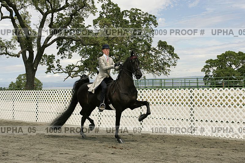 Proof Number upha_05__1009
