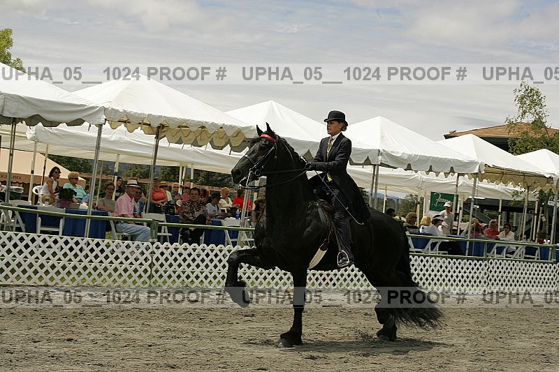 Proof Number upha_05__1024