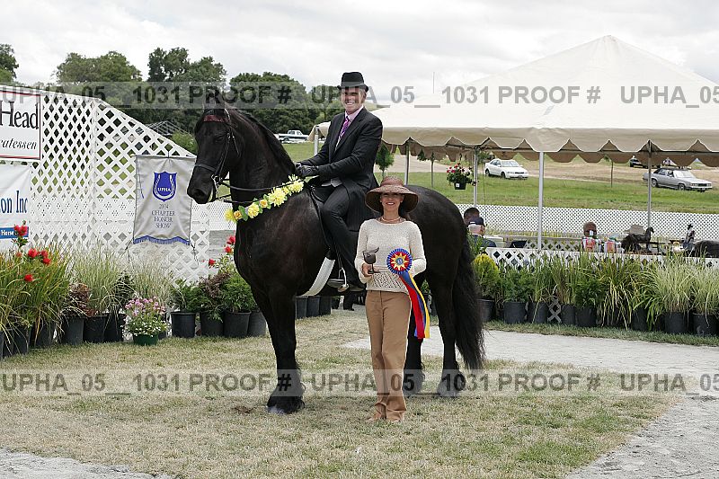 Proof Number upha_05__1031