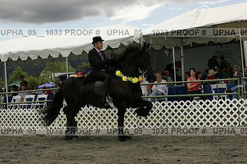 Proof Number upha_05__1033
