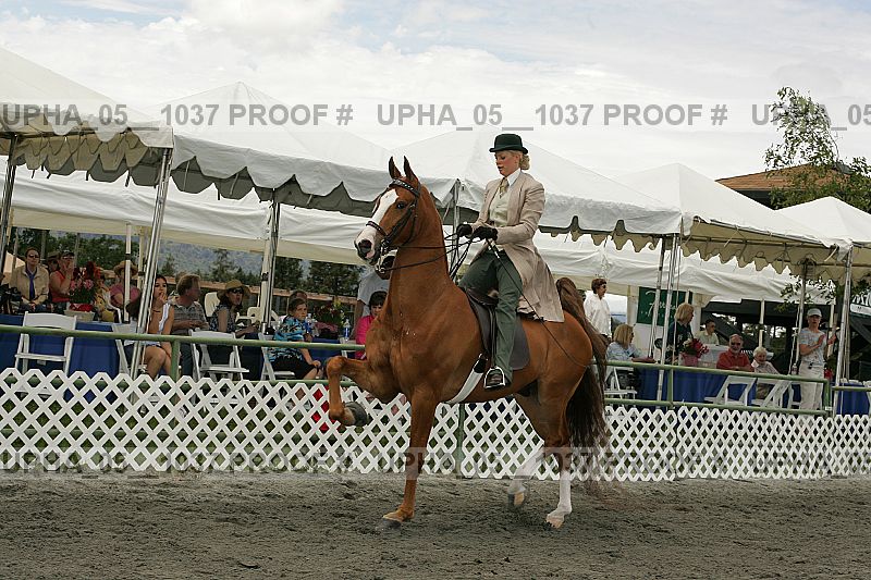 Proof Number upha_05__1037