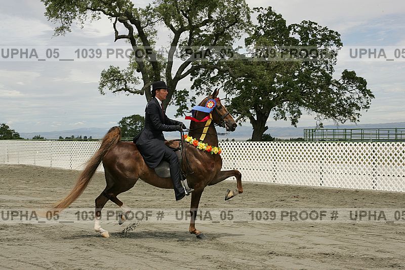 Proof Number upha_05__1039