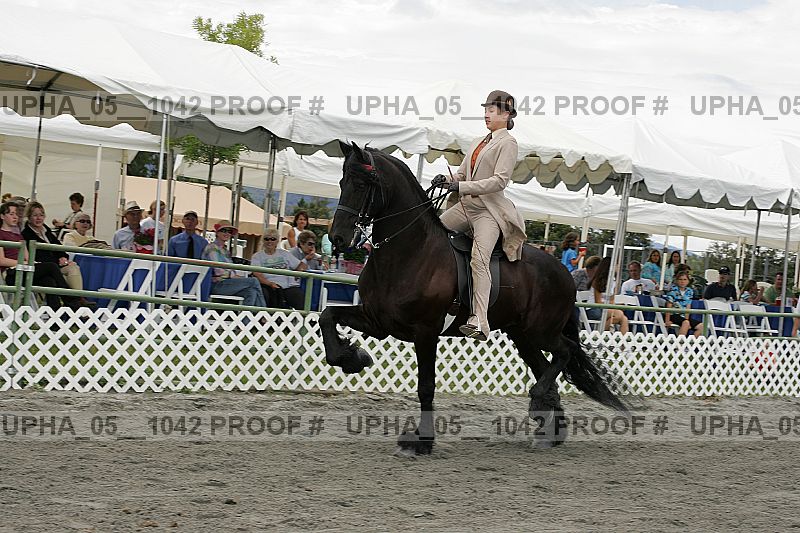 Proof Number upha_05__1042