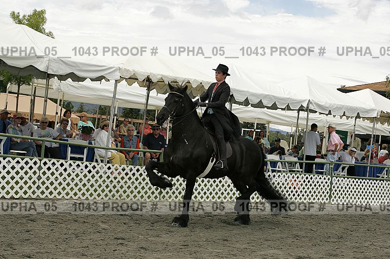 Proof Number upha_05__1043