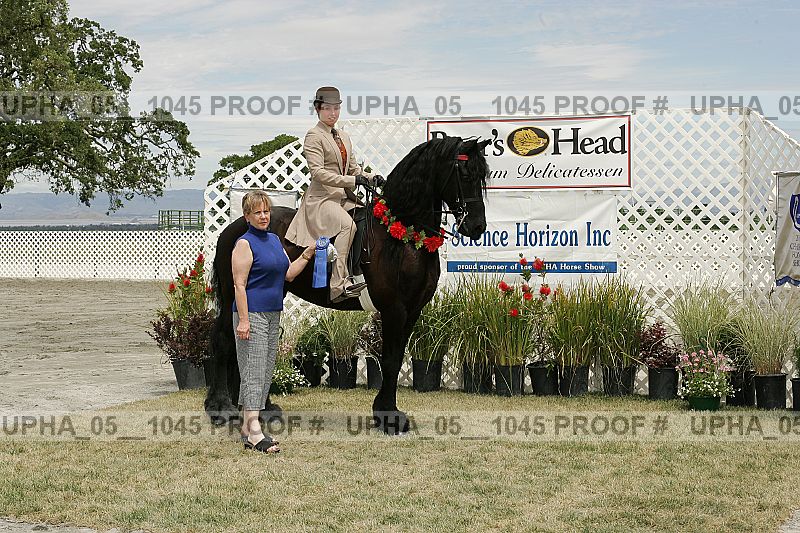 Proof Number upha_05__1045